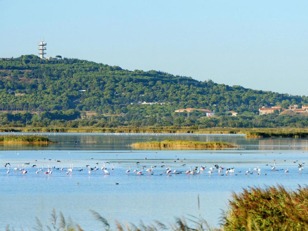 Holiday Home Ile St Martin By Interhome Agde Εξωτερικό φωτογραφία
